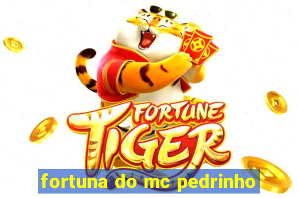 fortuna do mc pedrinho